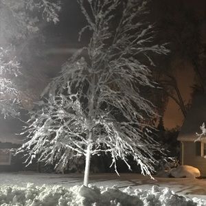 Meet your Posher, Monika